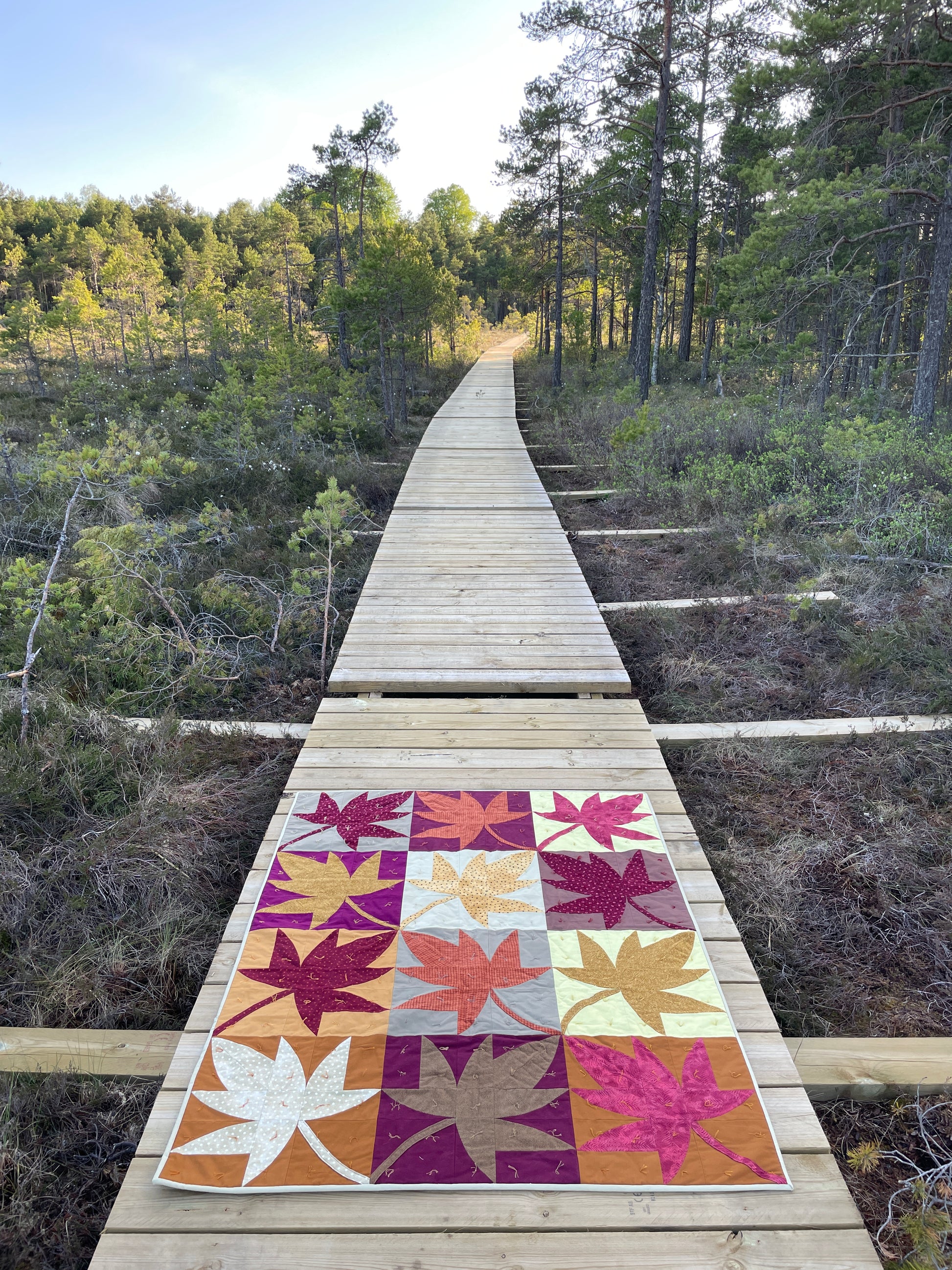 Quilt out on a bog.
